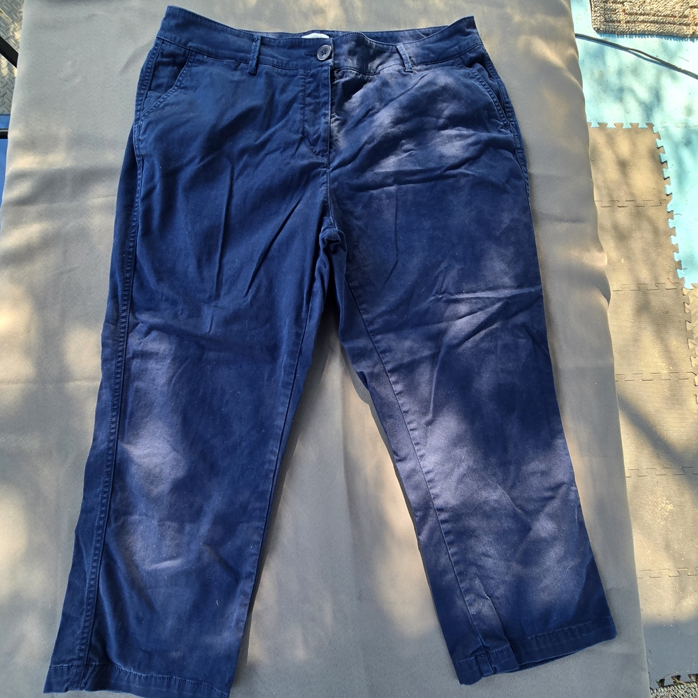 Crown & Ivy Charlotte Navy Cropped Pants 10P A-12